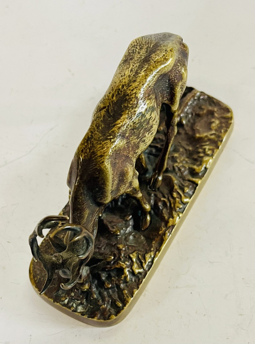 Bronze Stag-photo-3